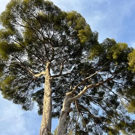 Apartament Cassiscentre-pour Famille-piscine - 4pers Cassis